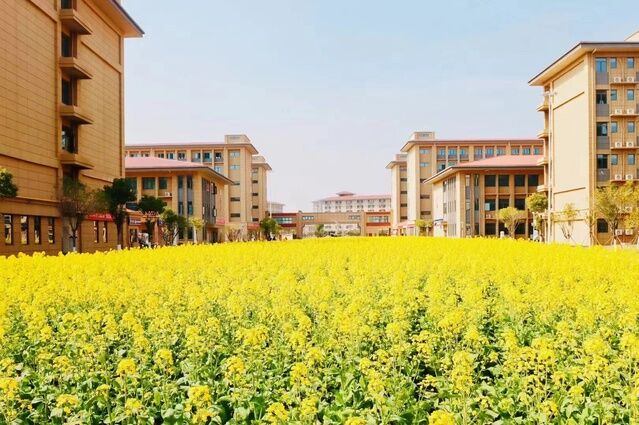 余干县现代职业学校：开启您的职业梦想之旅
